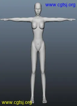 Maya模型me15653_nb18573_w256_h353_x的图片