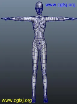 Maya模型me15653_nb18575_w256_h346_x的图片