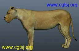 Maya模型me1566_nb2853_w256_h166_x的图片