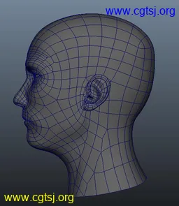 Maya模型me15671_nb18599_w256_h295_x的图片
