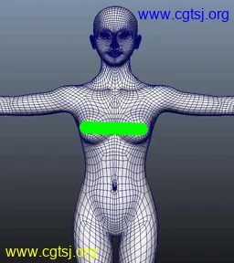 Maya模型me15721_nb18661_w256_h288_x的图片