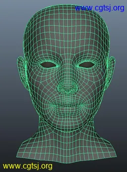 Maya模型me15774_nb18720_w256_h347_x的图片