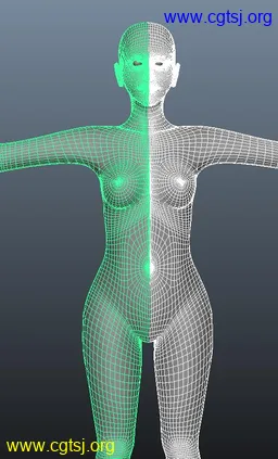 Maya模型me15788_nb18736_w256_h423_x的图片