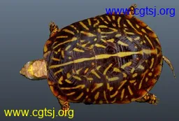 Maya模型me1579_nb2867_w256_h173_x的图片