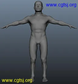 Maya模型me15799_nb18747_w256_h276_x的图片