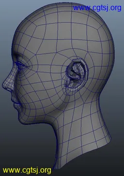 Maya模型me15800_nb18748_w256_h363_x的图片