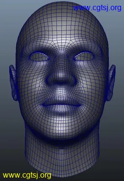 Maya模型me15817_nb18770_w256_h374_x的图片