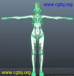 Maya模型me15952_nb18919_w256_h264_x的图片