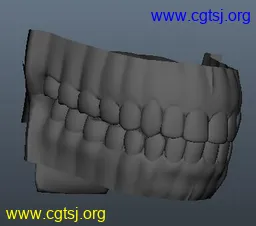 Maya模型me16170_nb19179_w256_h226_x的图片
