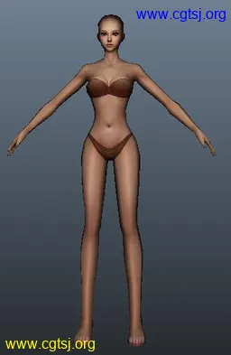 Maya模型me16575_nb19675_w256_h393_x的图片