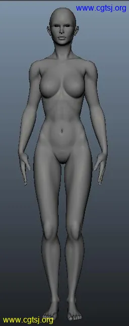 Maya模型me16684_nb19812_w256_h646_x的图片