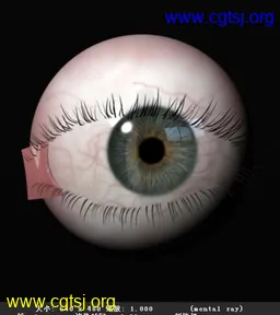 Maya模型me16723_nb19871_w256_h288_x的图片