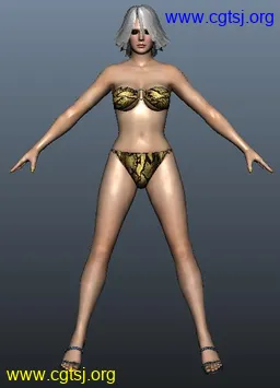 Maya模型me17223_nb27863_w256_h355_x的图片