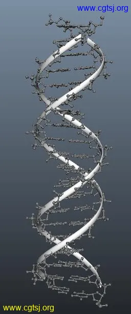 Maya模型me17748_nb28501_w256_h613_x的图片