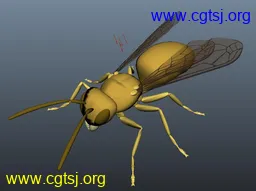 Maya模型me17809_nb28575_w256_h191_x的图片
