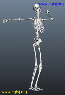 Maya模型me18977_nb30173_w256_h376_x的图片