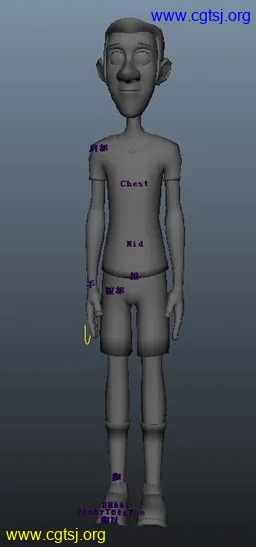 Maya模型me19482_nb30804_w256_h547_x的图片