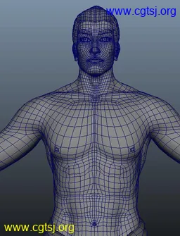 Maya模型me21149_nb34395_w256_h335_x的图片