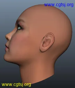 Maya模型me21395_nb34691_w256_h300_x的图片