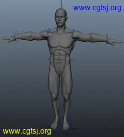Maya模型me21535_nb34893_w256_h283_x的图片