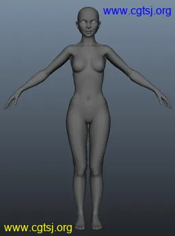 Maya模型me21894_nb35359_w256_h345_x的图片