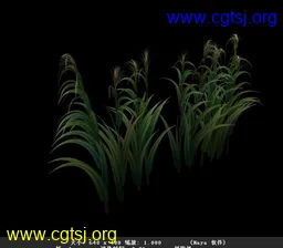 Maya模型me22071_nb35585_w256_h224_x的图片