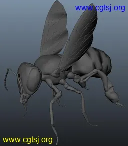 Maya模型me22191_nb35735_w256_h292_x的图片