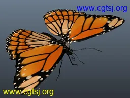 Maya模型me22195_nb35740_w256_h194_x的图片