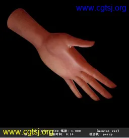 Maya模型me22465_nb36047_w256_h273_x的图片