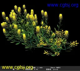 Maya模型me22503_nb36086_w256_h227_x的图片