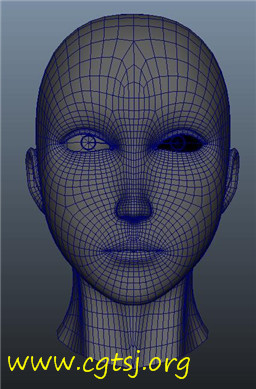 Maya模型me22911_nb36556_w256_h389_x的图片