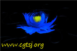 Maya模型me23113_nb36802_w256_h170_x的图片