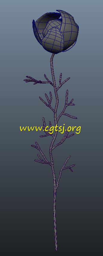 Maya模型ME23180的图片1