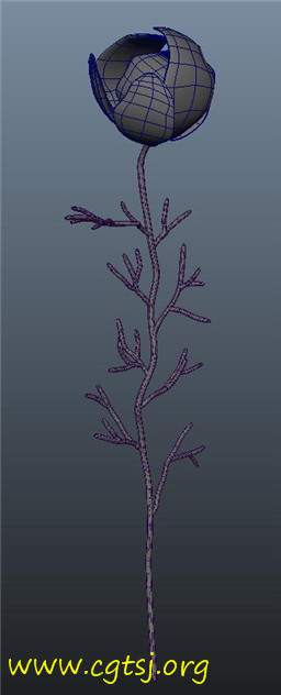 Maya模型me23180_nb36893_w256_h632_x的图片