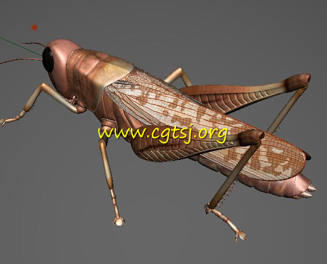 Maya模型ME23222的图片1