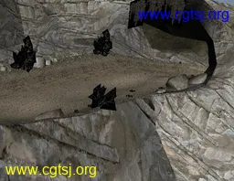 Maya模型me3442_nb4932_w256_h198_x的图片
