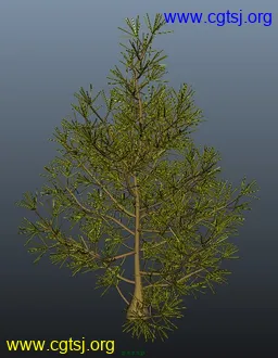 Maya模型me4035_nb5624_w256_h330_x的图片