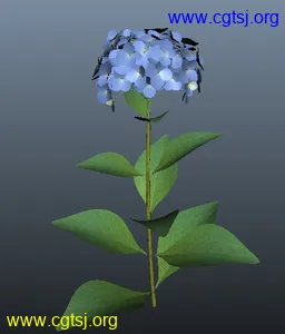 Maya模型me4068_nb5658_w256_h300_x的图片