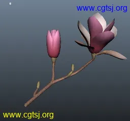 Maya模型me4099_nb5689_w256_h238_x的图片