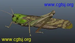 Maya模型me4118_nb5708_w256_h147_x的图片