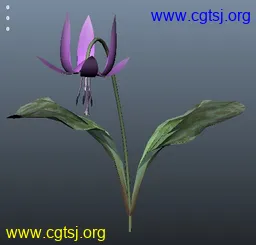 Maya模型me4120_nb5710_w256_h245_x的图片
