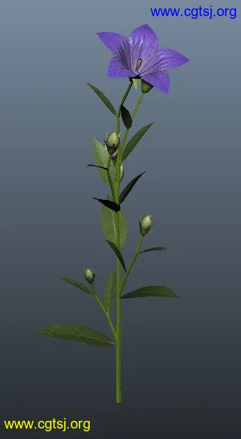 Maya模型ME4122的图片1