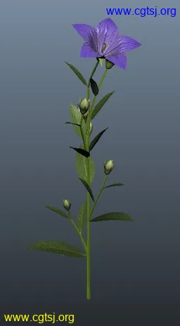 Maya模型me4122_nb5712_w256_h464_x的图片