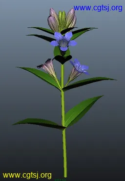 Maya模型me4129_nb5719_w256_h371_x的图片