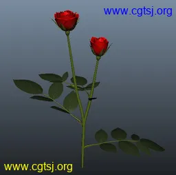 Maya模型me4130_nb5720_w256_h254_x的图片