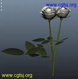 Maya模型me4132_nb5722_w256_h259_x的图片