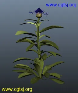 Maya模型me4236_nb5826_w256_h307_x的图片