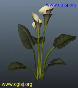 Maya模型me4242_nb5832_w256_h287_x的图片