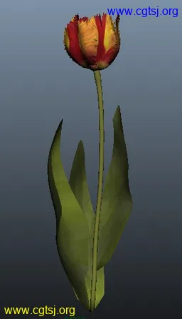 Maya模型me4281_nb5871_w256_h447_x的图片
