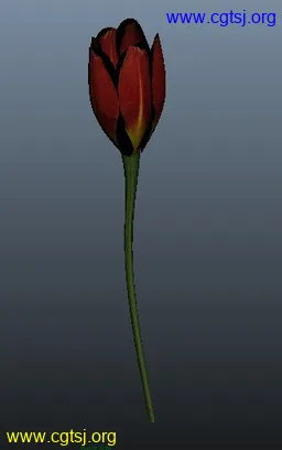 Maya模型me4306_nb5896_w256_h409_x的图片